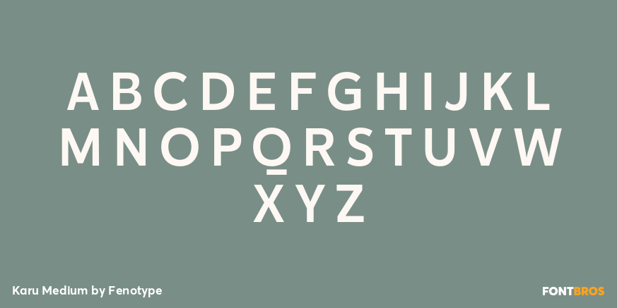 Karu Medium Font Poster #2