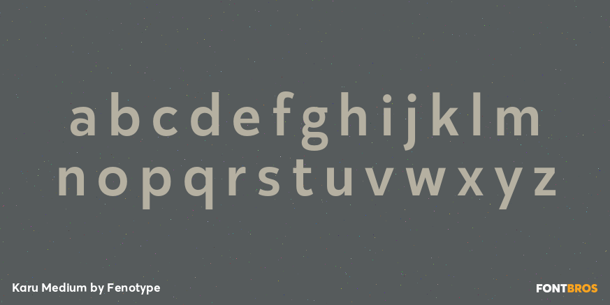 Karu Medium Font Poster #3