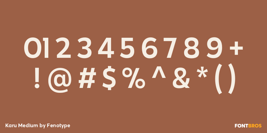 Karu Medium Font Poster #4