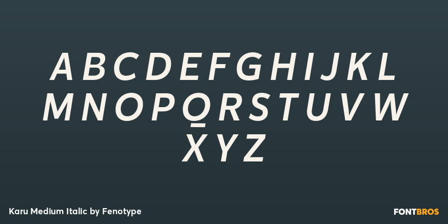 Karu Medium Italic Font Poster #2