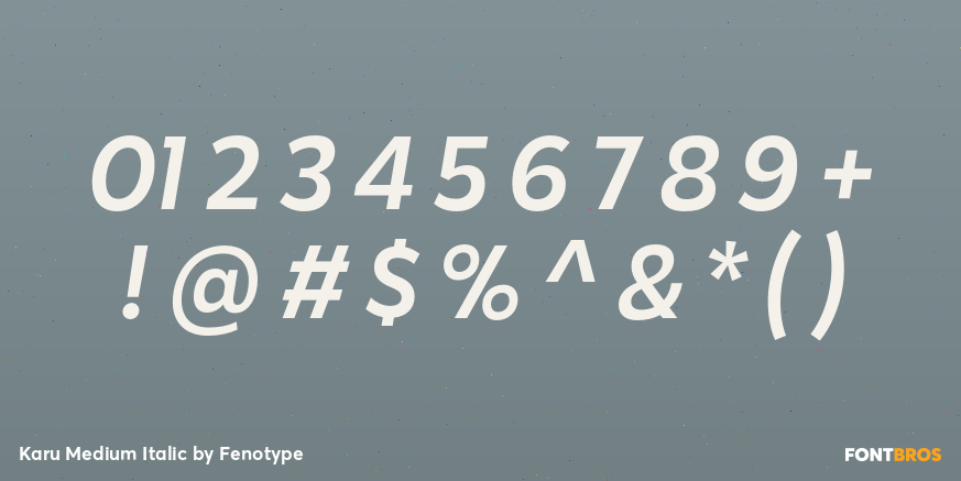 Karu Medium Italic Font Poster #4