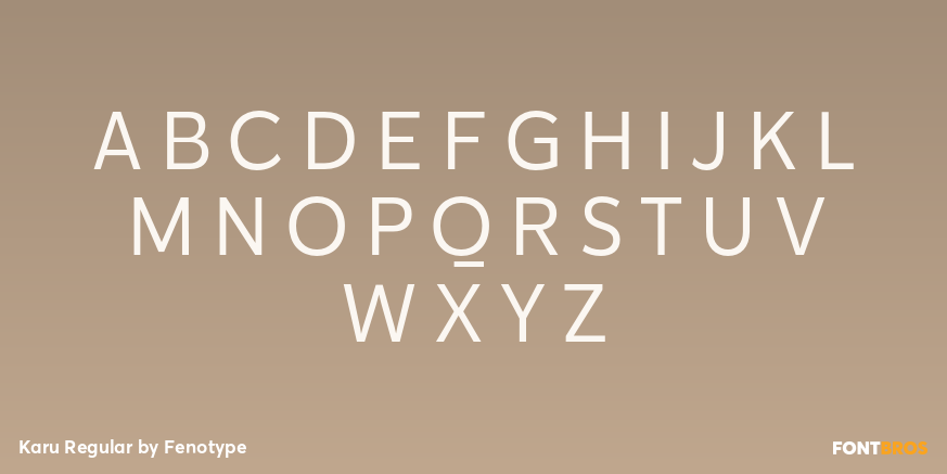 Karu Regular Font Poster #2