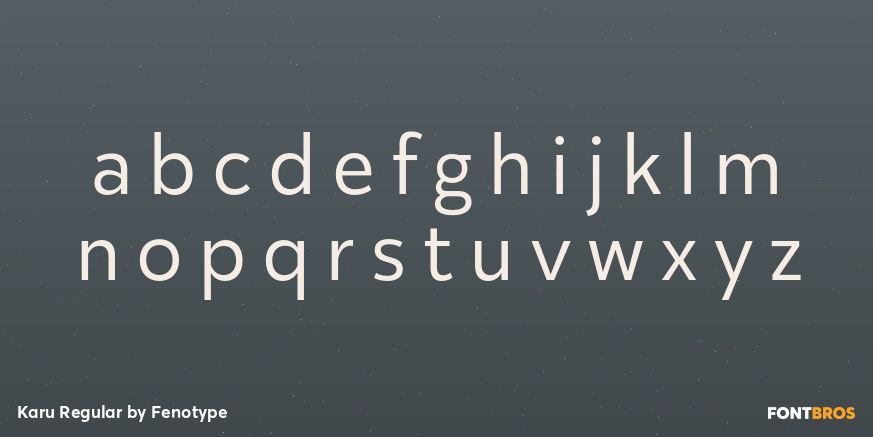Karu Regular Font Poster #3