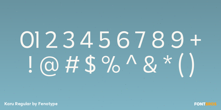 Karu Regular Font Poster #4