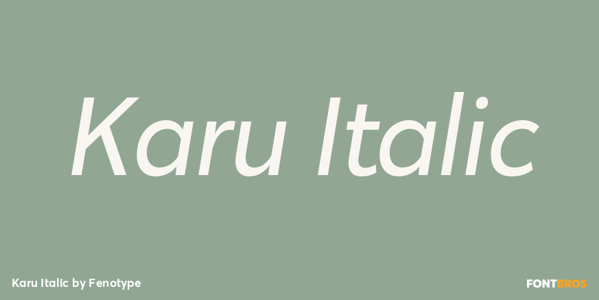 Karu Italic Font Poster #1