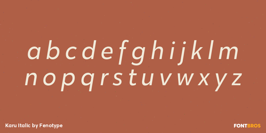 Karu Italic Font Poster #3