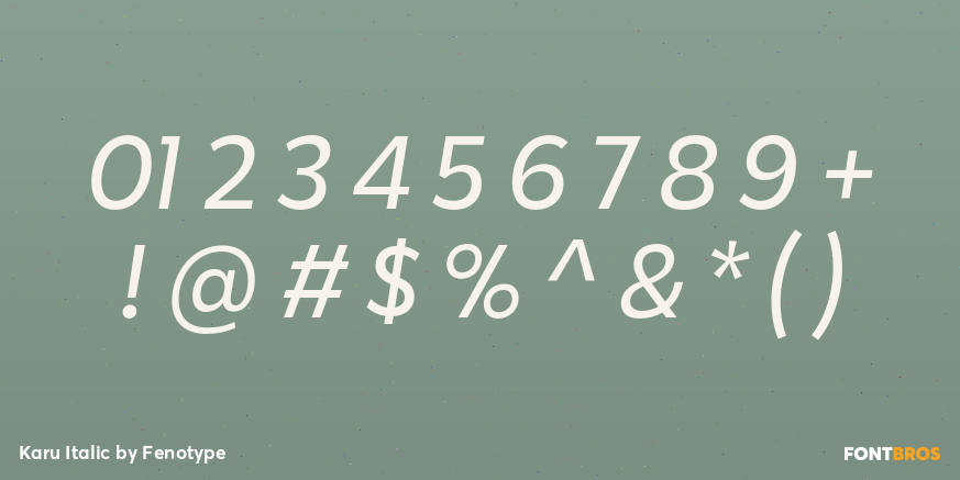Karu Italic Font Poster #4