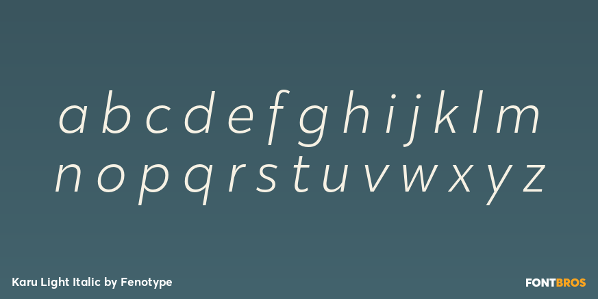Karu Light Italic Font Poster #3