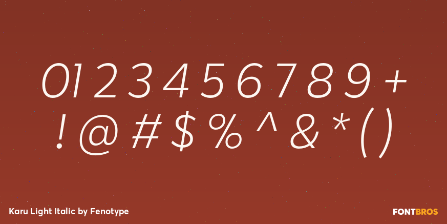 Karu Light Italic Font Poster #4