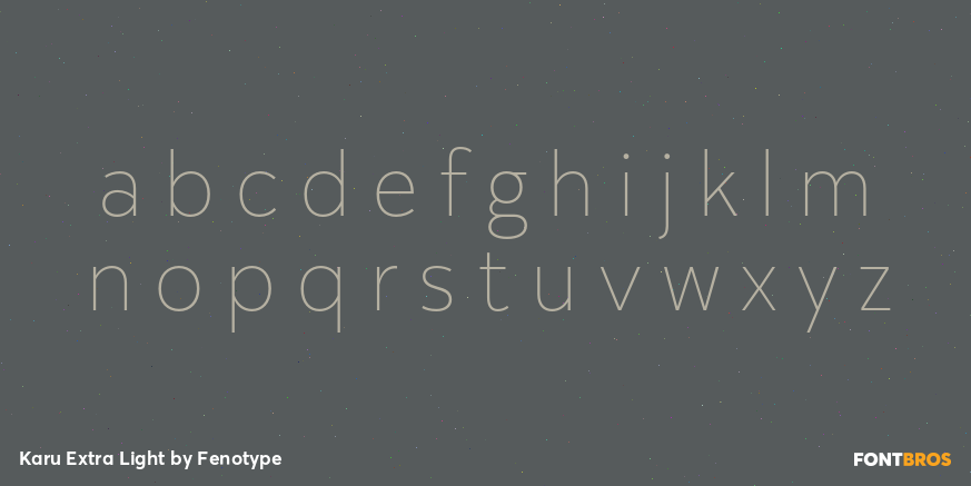 Karu Extra Light Font Poster #3