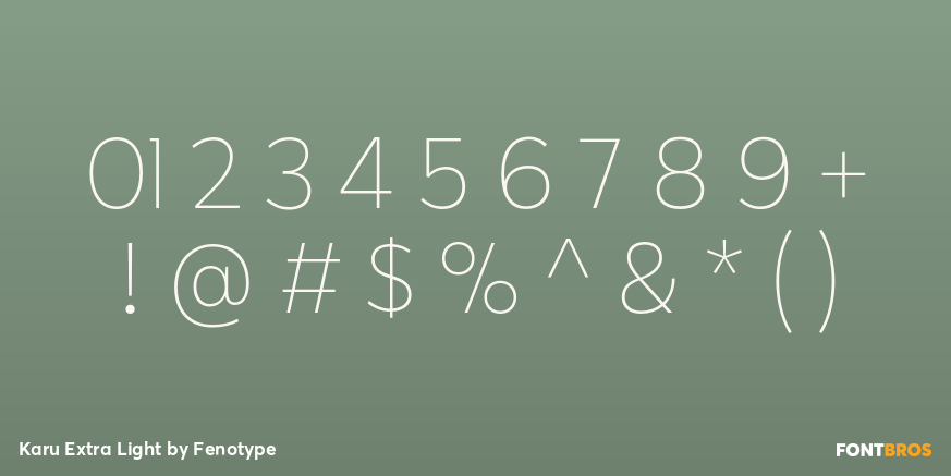 Karu Extra Light Font Poster #4