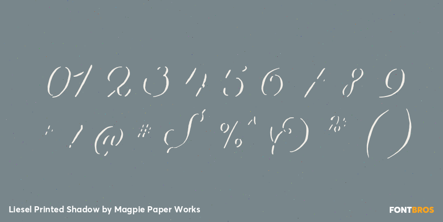 Liesel Printed Shadow Font Poster #1