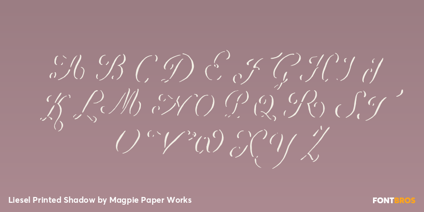 Liesel Printed Shadow Font Poster #2