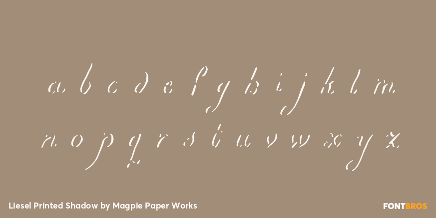 Liesel Printed Shadow Font Poster #3