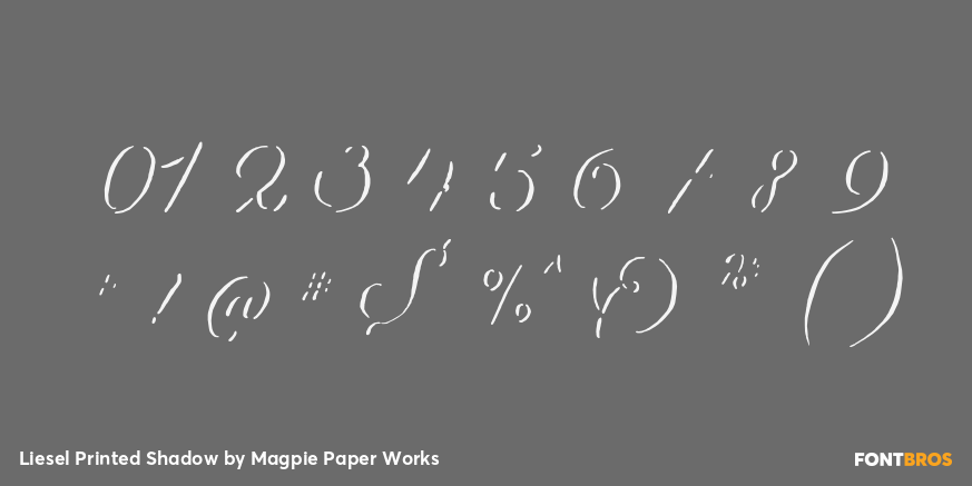 Liesel Printed Shadow Font Poster #4