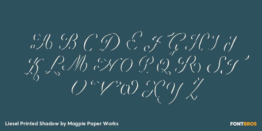 Liesel Printed Shadow Font Poster #1