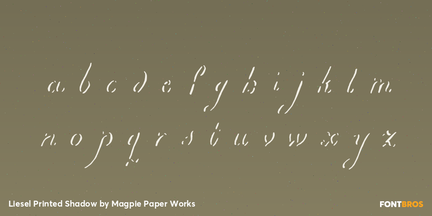 Liesel Printed Shadow Font Poster #1
