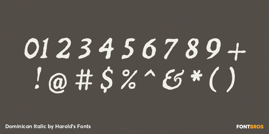 Dominican Italic Font Poster #1