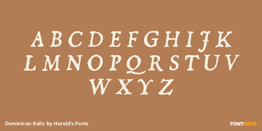 Dominican Italic Font Poster #2