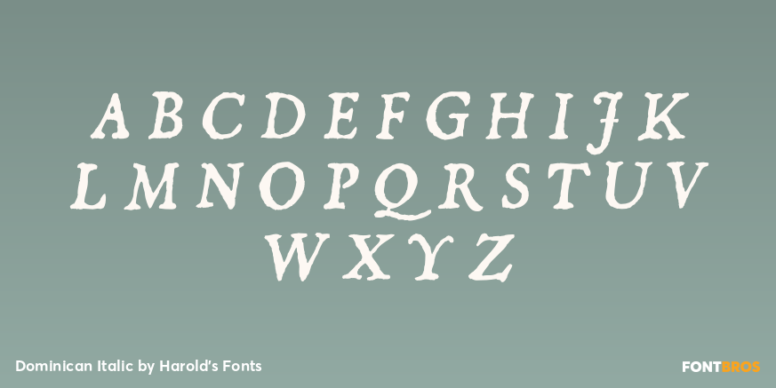 Dominican Italic Font Poster #1