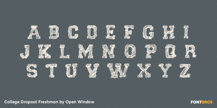 College Dropout Freshman Font Poster #2
