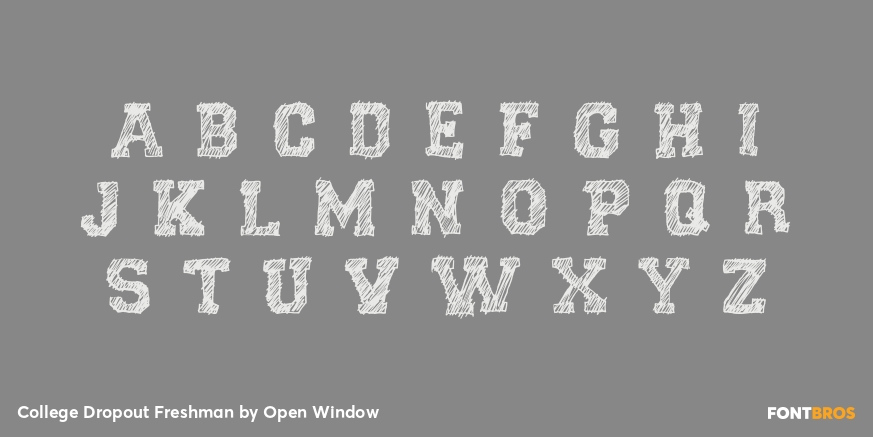 College Dropout Freshman Font Poster #3