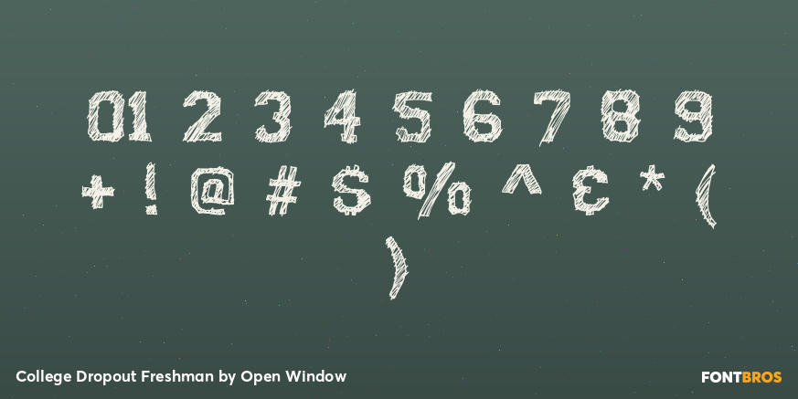 College Dropout Freshman Font Poster #4