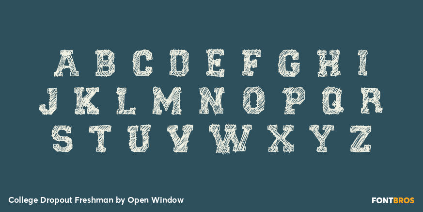 College Dropout Freshman Font Poster #1