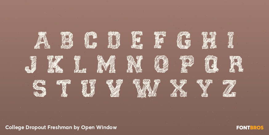College Dropout Freshman Font Poster #1