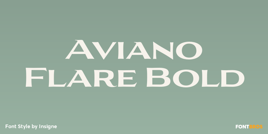 Aviano Flare Bold Font Poster #1