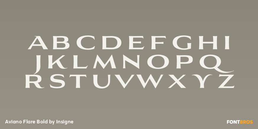 Aviano Flare Bold Font Poster #1