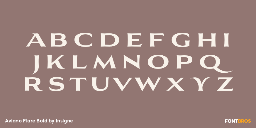 Aviano Flare Bold Font Poster #1