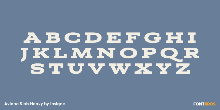 Aviano Slab Heavy Font Poster #2