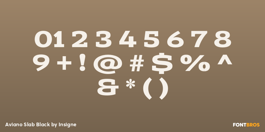Aviano Slab Black Font Poster #4