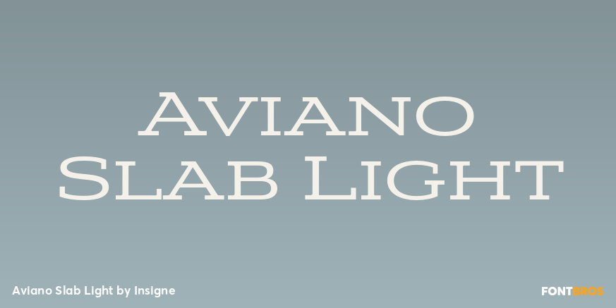 Aviano Slab Light Font Poster #1