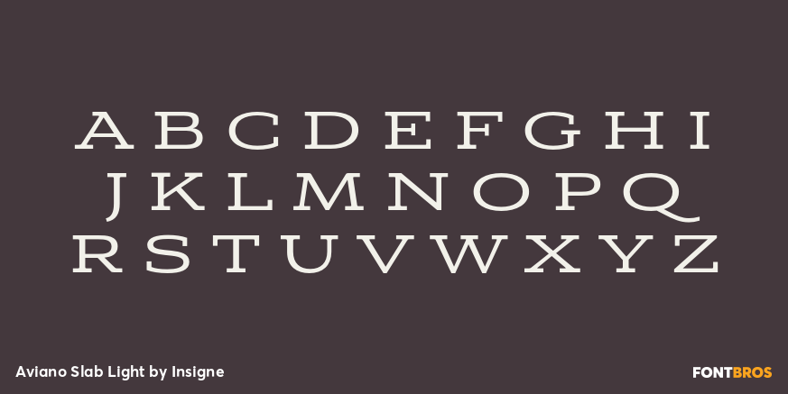Aviano Slab Light Font Poster #1