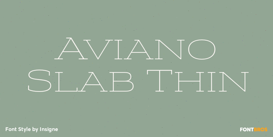 Aviano Slab Thin Font Poster #1