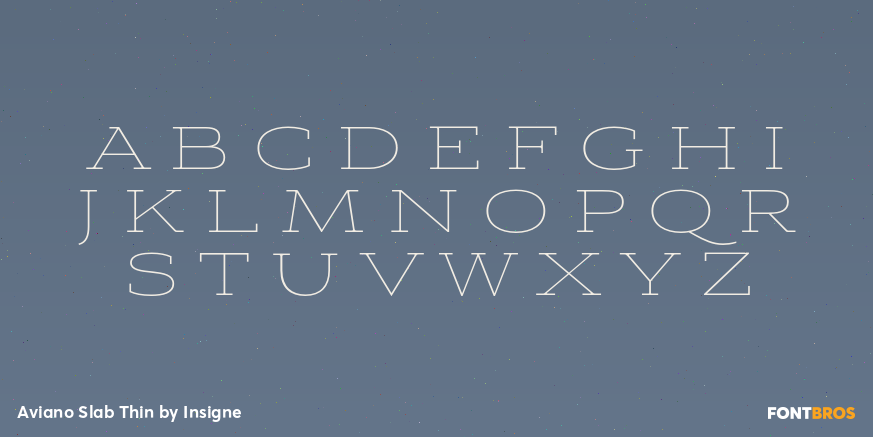 Aviano Slab Thin Font Poster #2