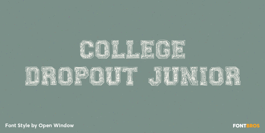 College Dropout Junior Poster