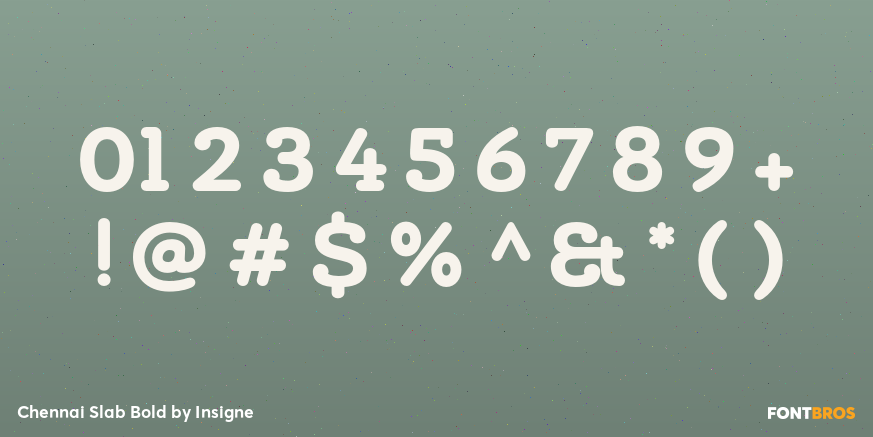 Chennai Slab Bold Font Poster #4