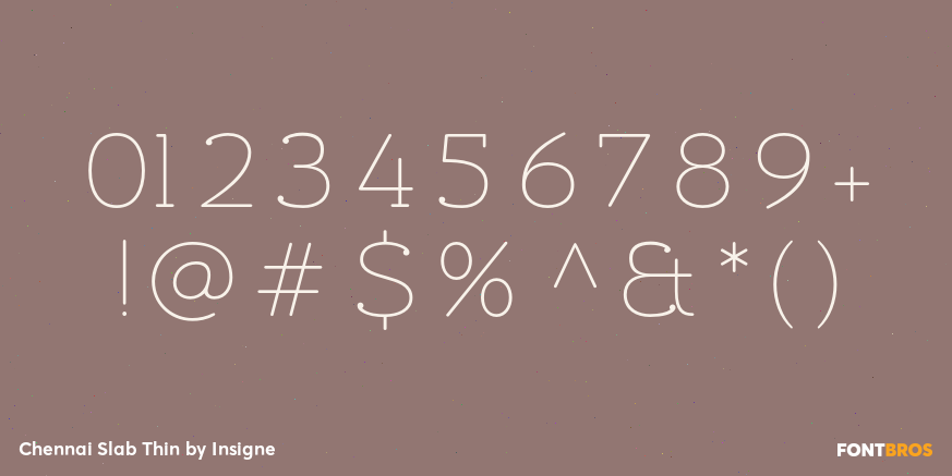 Chennai Slab Thin Font Poster #1