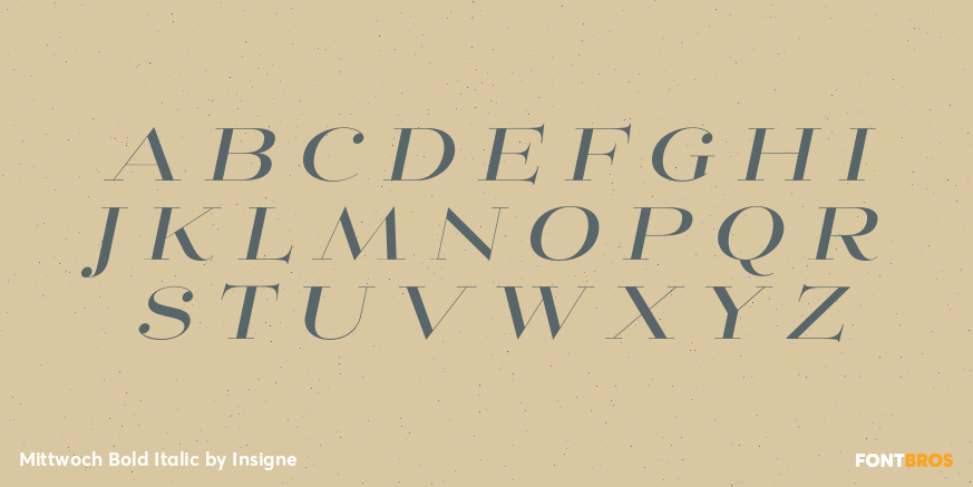 Mittwoch Bold Italic Font Poster #2