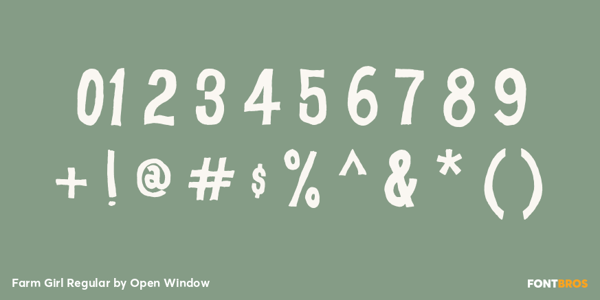 Farm Girl Regular Font Poster #4