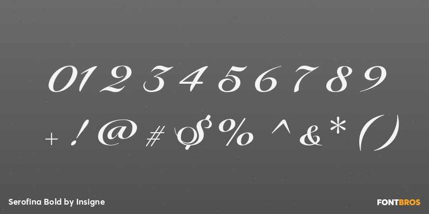 Serofina Bold Font Poster #1