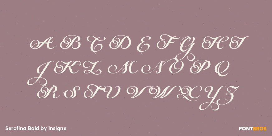 Serofina Bold Font Poster #2