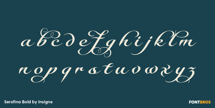Serofina Bold Font Poster #3
