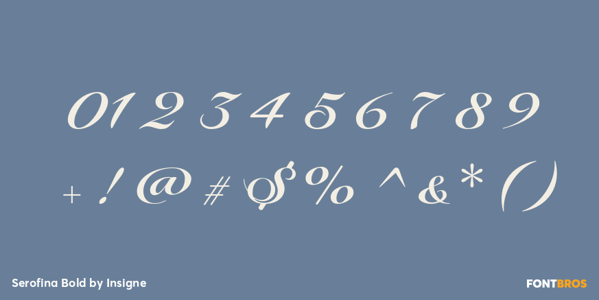 Serofina Bold Font Poster #4