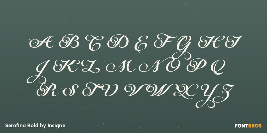 Serofina Bold Font Poster #1