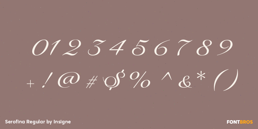 Serofina Regular Font Poster #4