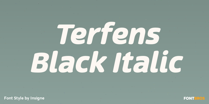 Terfens Black Italic Font Poster #1